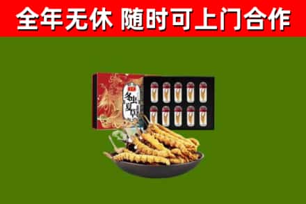 浦城县回收冬虫夏草价格