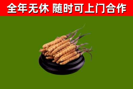 浦城县烟酒回收冬虫夏草.jpg