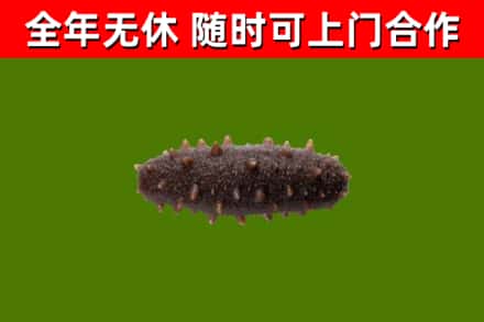 浦城县烟酒回收干海参.jpg